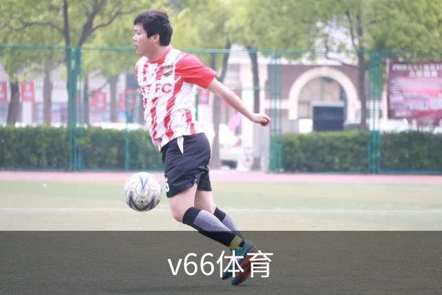 v66体育